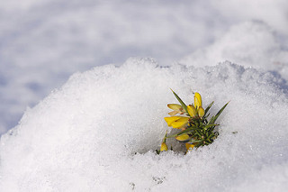 photo credit: Little via photopin (license)